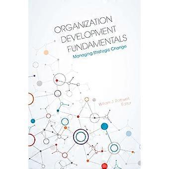Organization Development Fundamentals Managing Strategic Change