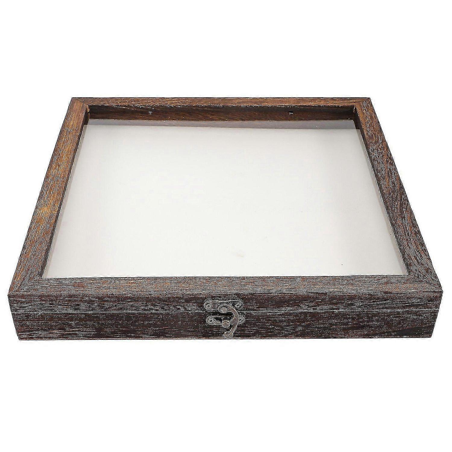Wooden Insect Specimen Display Case Protective Specimen Storage Box With Eva Pad Tw