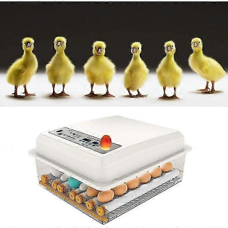 Egg Incubator Automatic Egg Incubator for Poultry, Quail, Goose, Duck, Pigeon, Reptile - 16 Eggs Edition