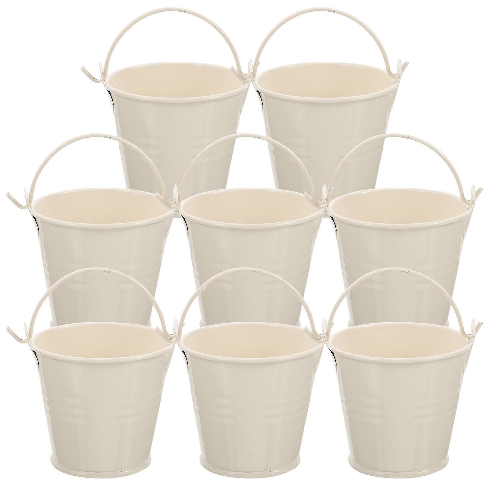 Compact Metal Bucket for Indoor Use, Simple Design with Handle, Perfect for Flowers