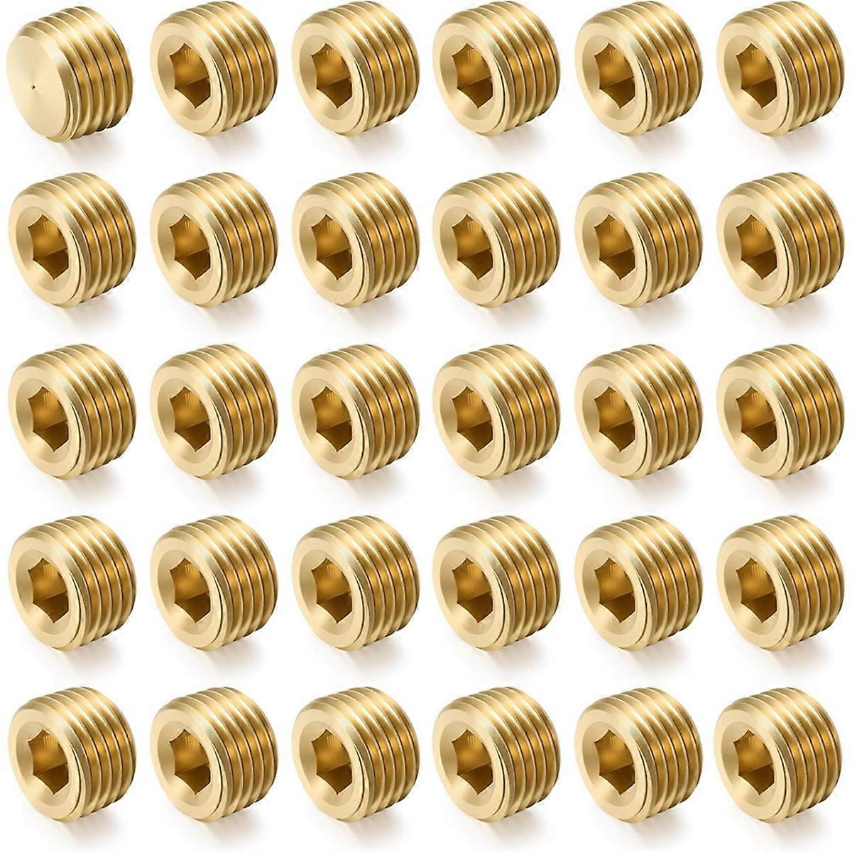 30Pcs 1/4"NPT Male Pipe Plug Fitting Set Internal Hex Thread Socket Pipe Plug Kit Hex Counter Sunk P