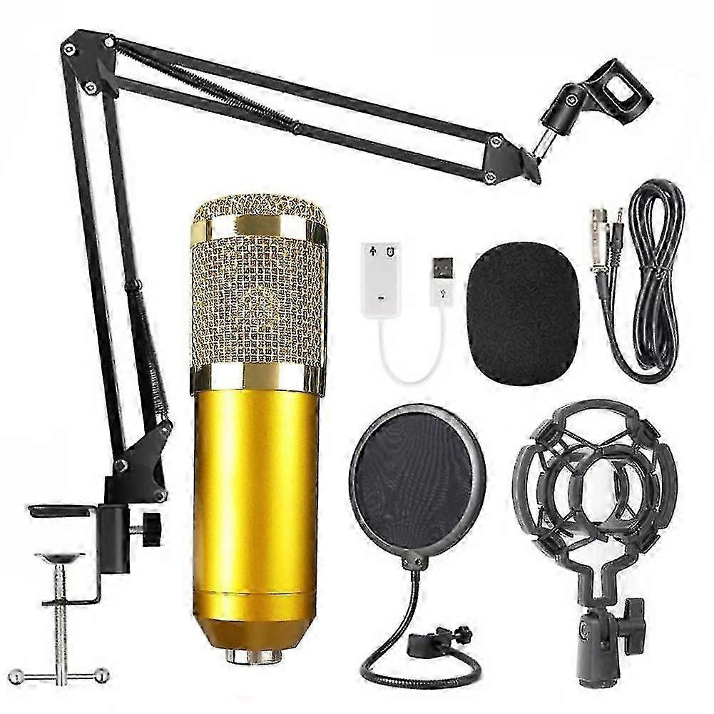 TALOS Electronic BM-800 Professional Capacitive Microphone Vocal Recording Wired Mic for Computer 2025