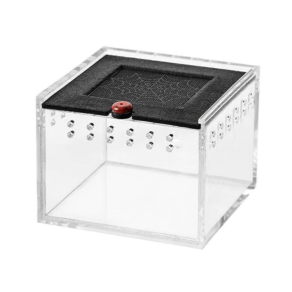 Spider Enclosure with Clear Viewing Window, EscapeProof Small Reptile Terrarium Feeding Box