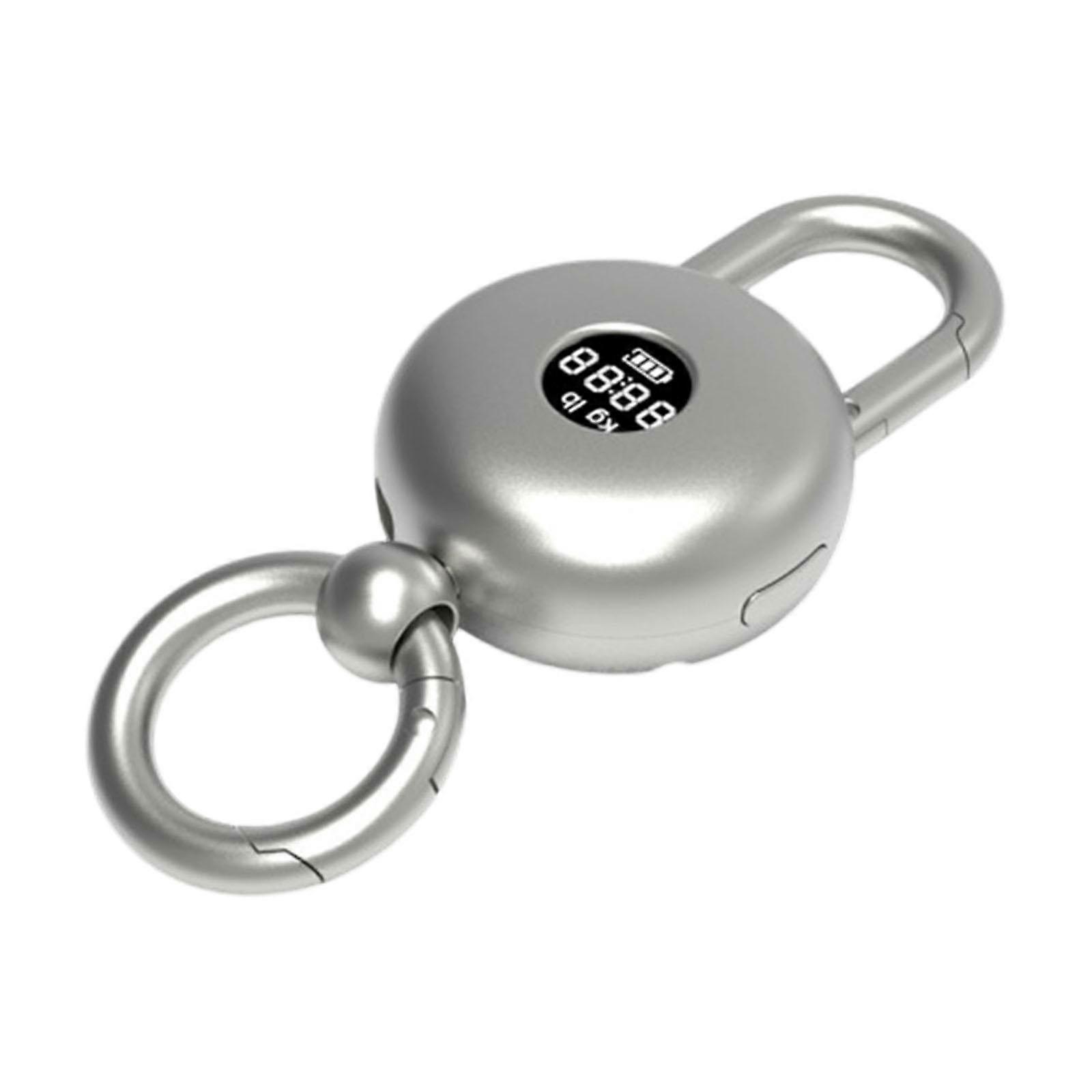 Mini Hook Scale Fast Reading Handheld Scale Accurate Stylish Measuring Tool
