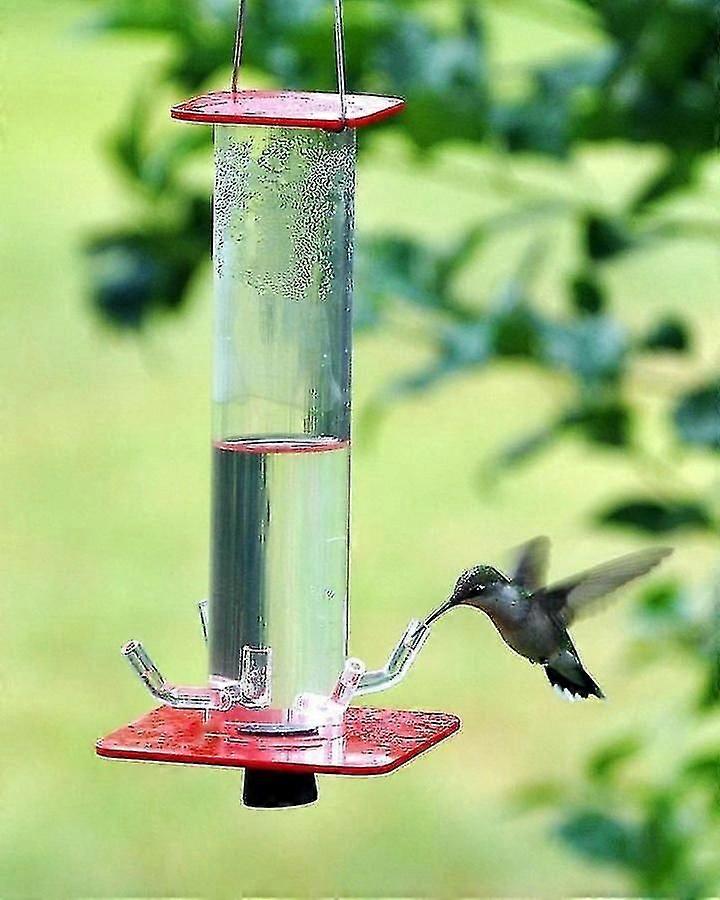 Peters kolibri feeder