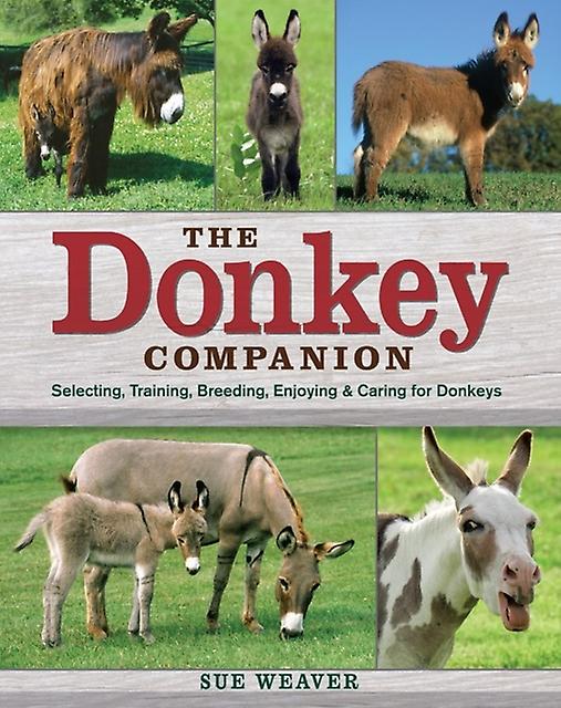 Donkey Companion by Sue Weaver Paperback