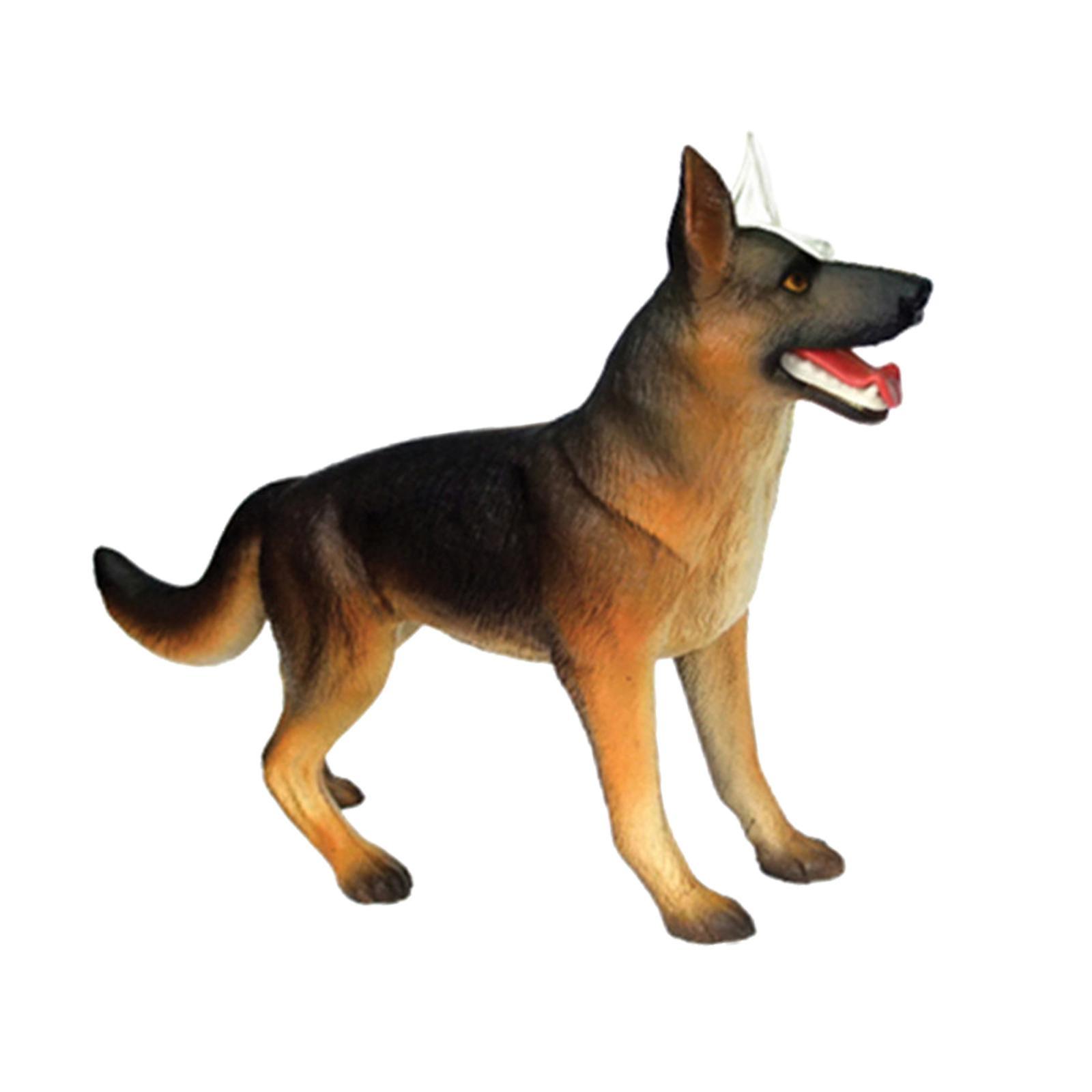 Model de anatomie 4D Model anatomic Model de predare Jucării educaționale 29.5x6x17cm