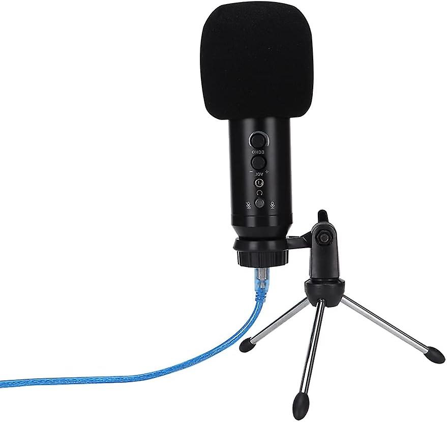 Dilwe Professional Condenser Microphone, Studio Broadcasting Recording Microphone Set for Network Si