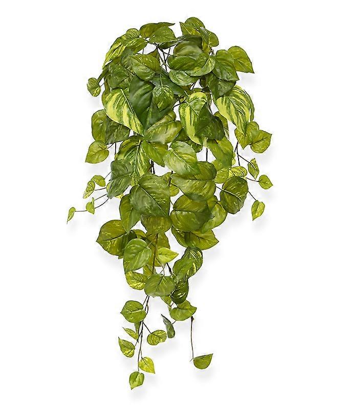 Pothos riippukasvi (55 cm)