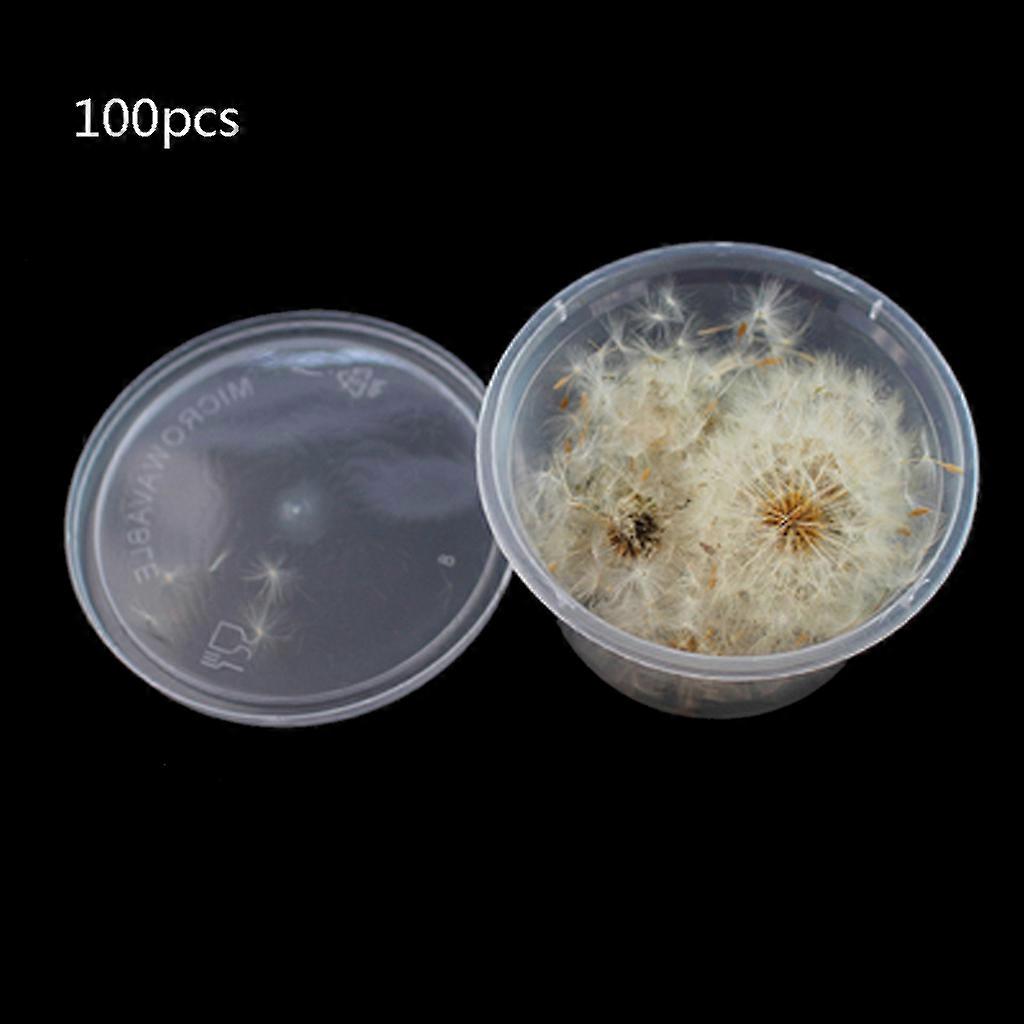 بذور الهندباء الطبيعية لملحقات DIY الحرف اليدوية حشو الراتنج المنزلي