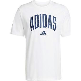 Maglietta Adidas Collegiate JM6416
