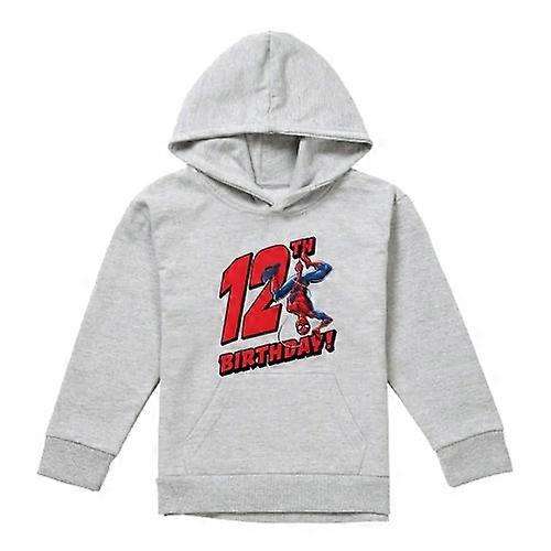 Spider-Man Childrens/Kids Heather Pull Over 12th Birthday Hoodie