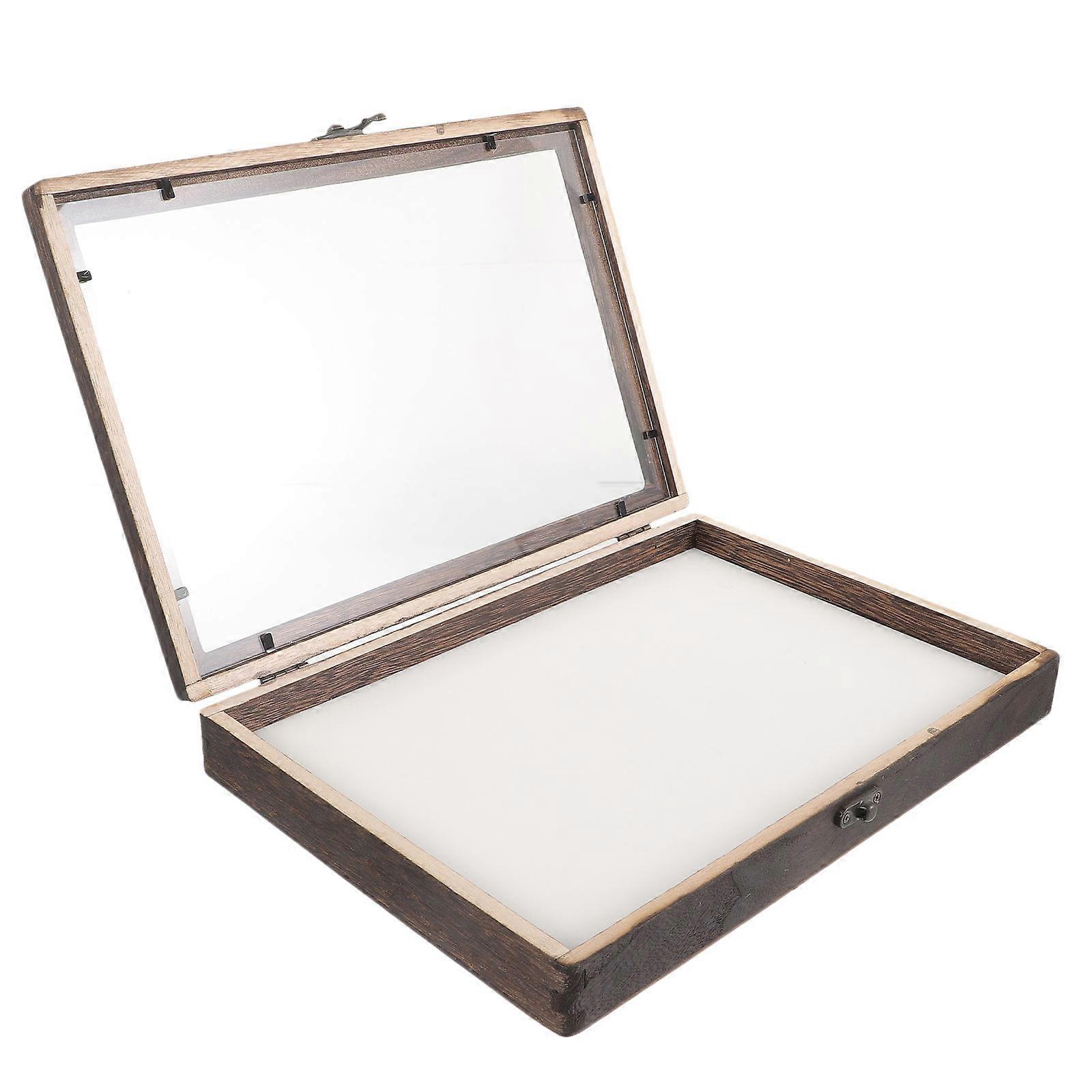 Insect Display Case Wooden Bug Collection Box for Specimen Display 4Sets