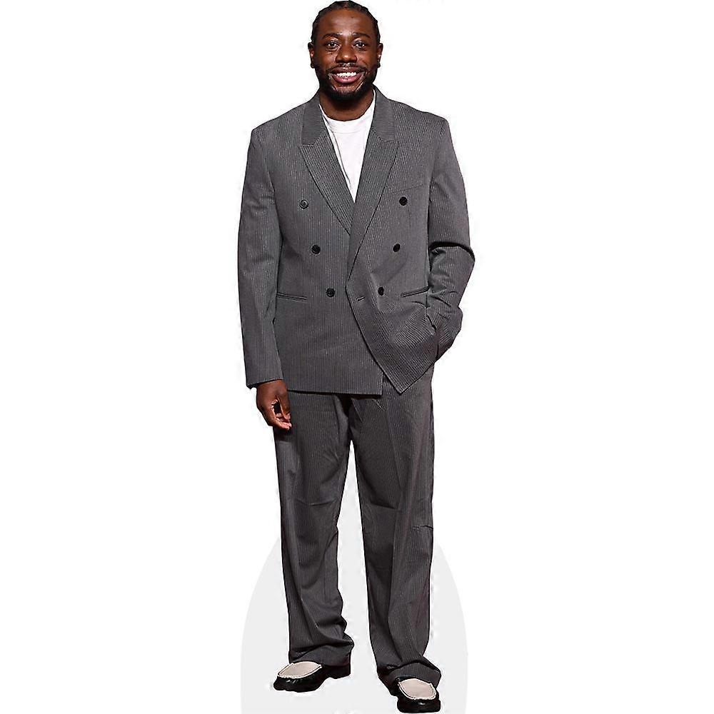 Asher Glean (Grey Suit) Cardboard Cutout (lifesize OR mini size). Standee. Stand Up.