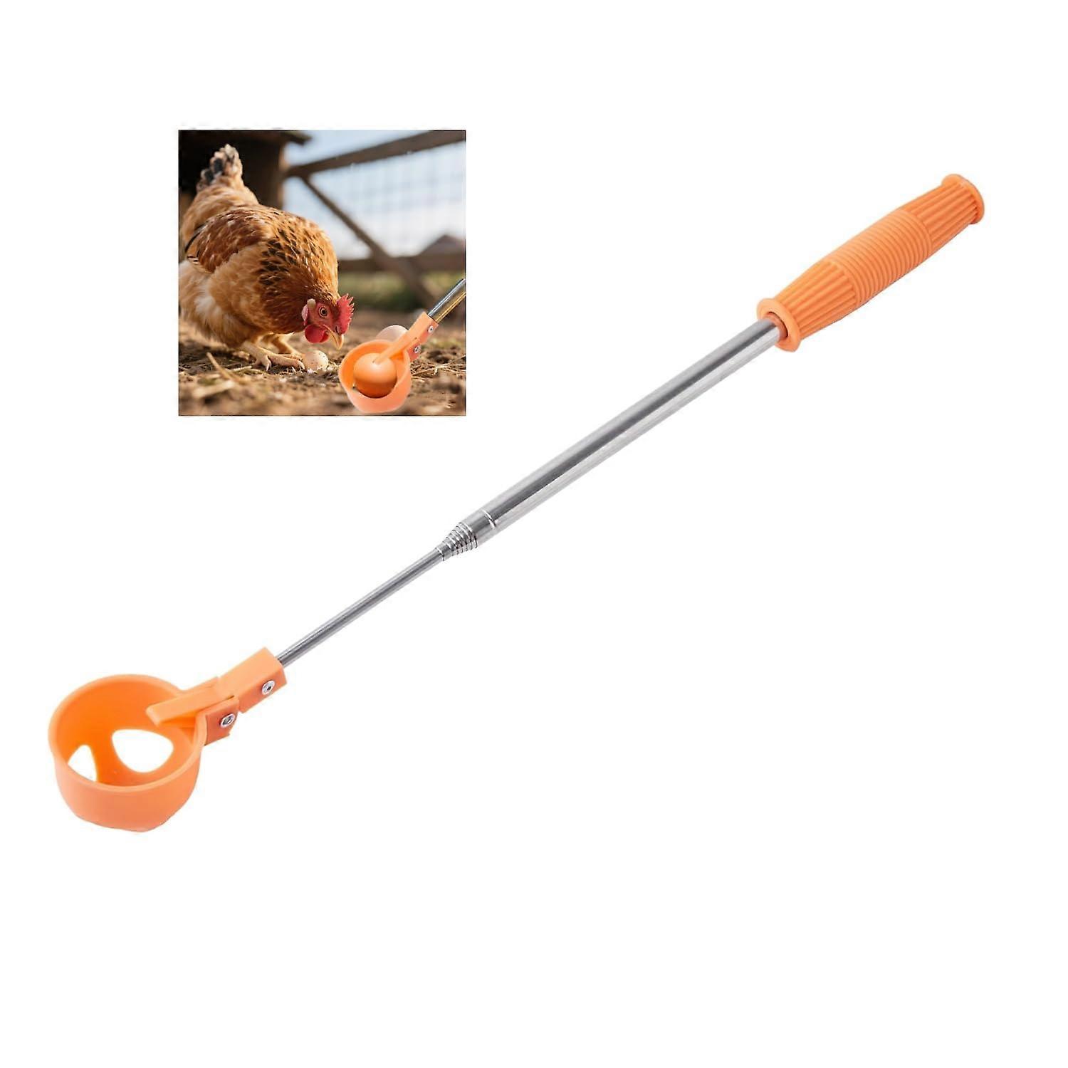 Extendable Long Reach Egg Grabber and Nut Gatherer Tool with Ergonomic Handle for Easy Collection