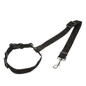 Retractable Pet Car Seat Belt, Adjustable Dog and Cat Travel Harness with Collar Strap for Rear Seat Safety