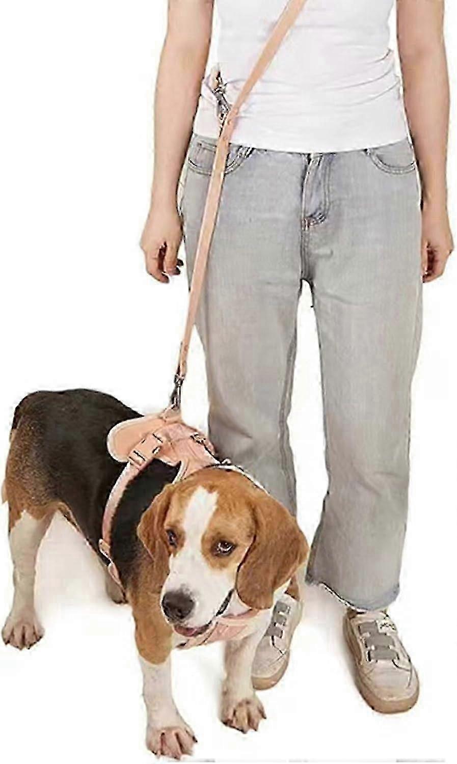Breathable Adjustable Puppy Walking Set