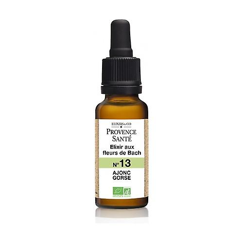 ORGANIC gorse 20 ml of floral elixir