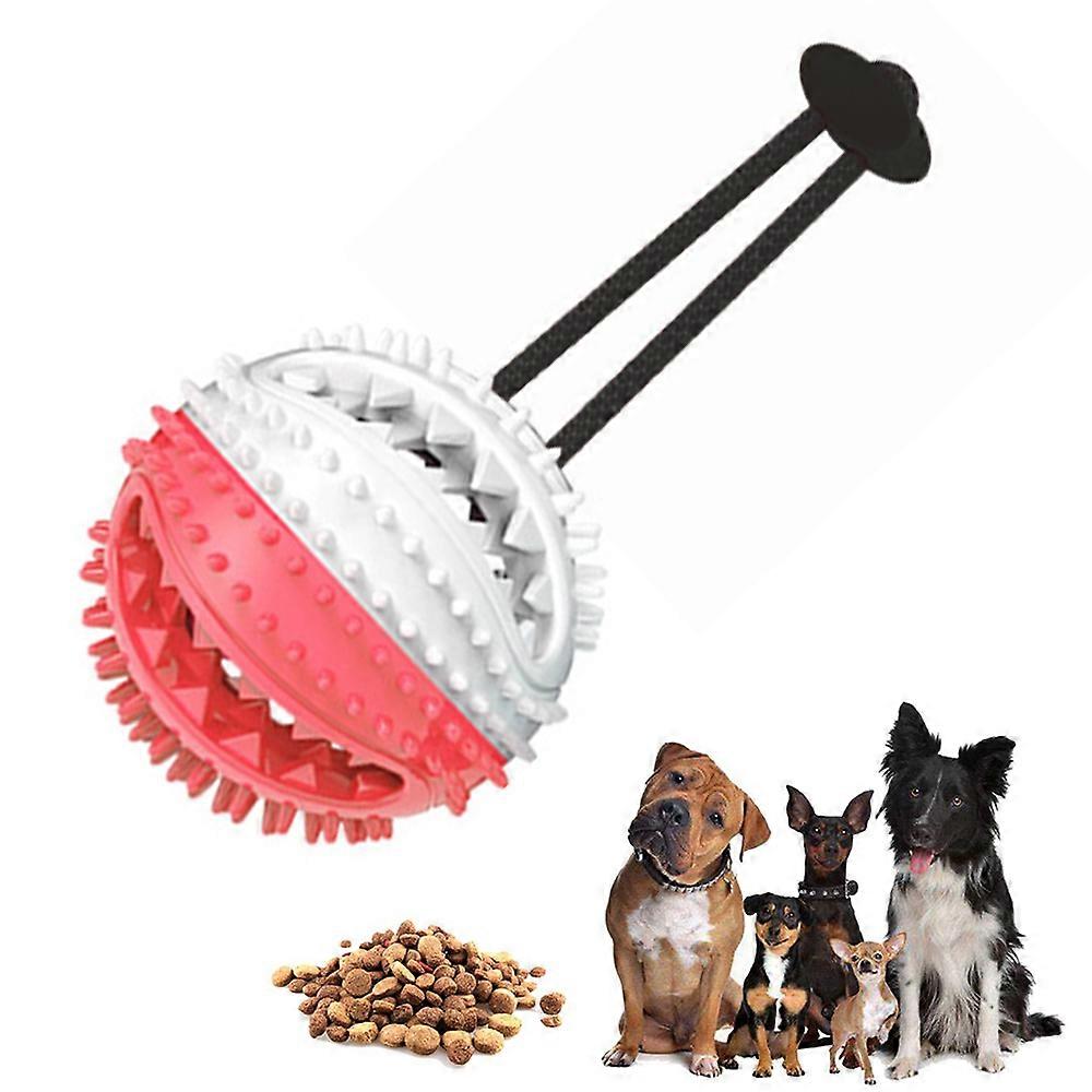 Pet Toys Ball Dog Food Dispensing Ball Chew Interactive Toys
