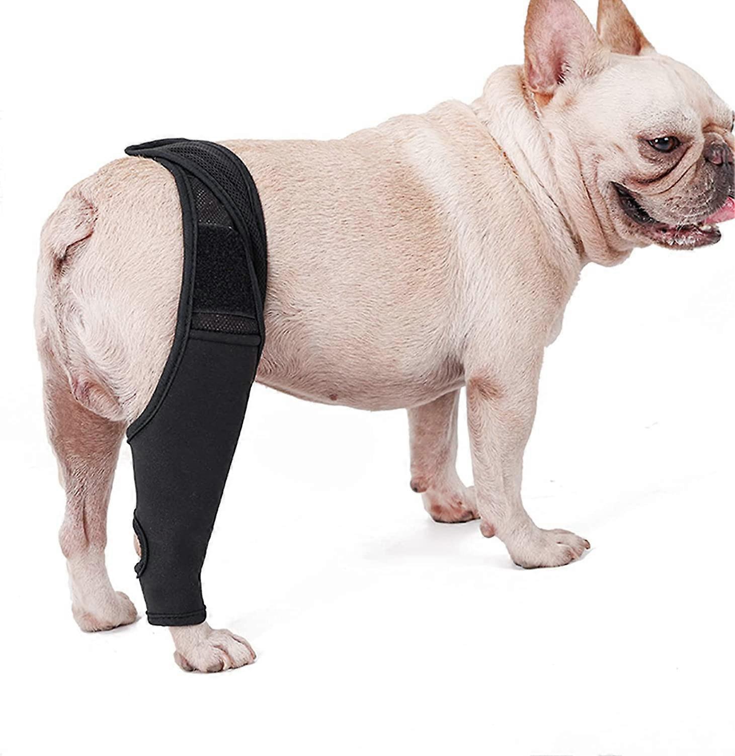 Dog Knee Brace Fixed Leg Strap Thigh Protector ( S ) Black 1 Piece