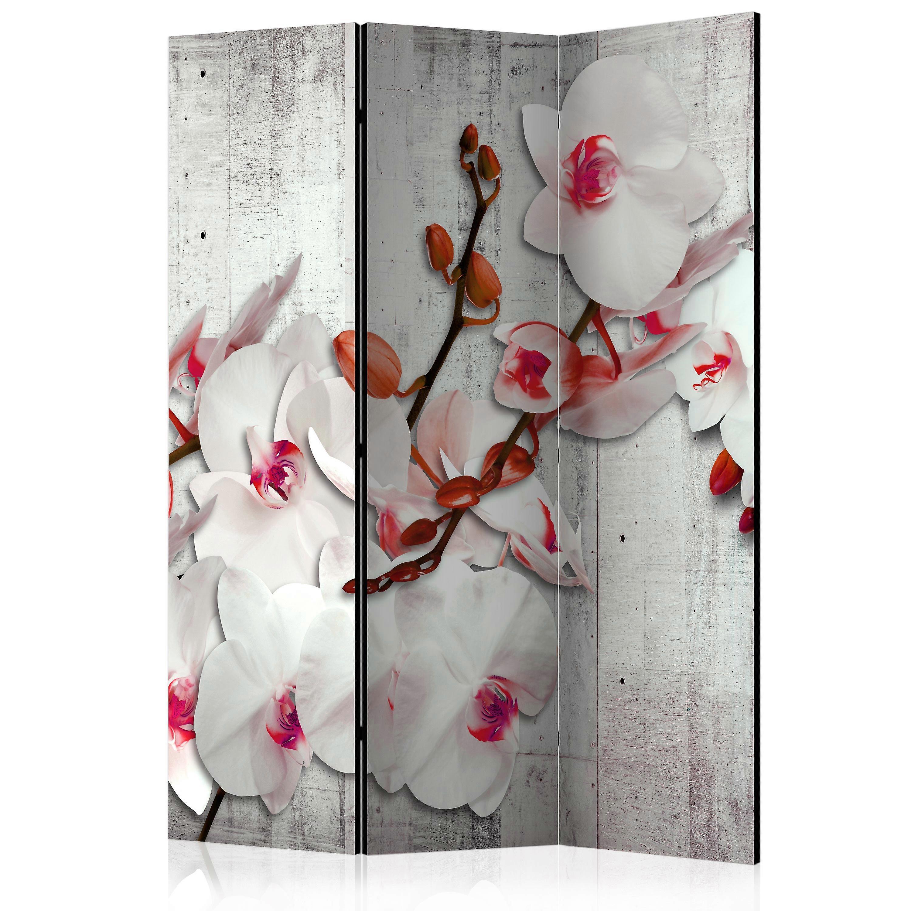 Room Divider - Concrete Orchid