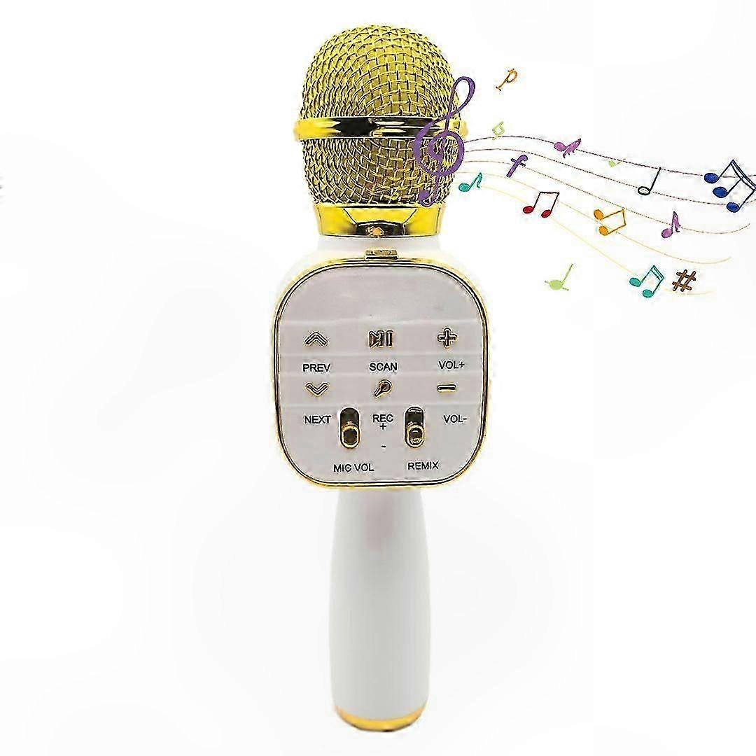 Portable Wireless Microphone for Home Singing and Karaoke Fun
