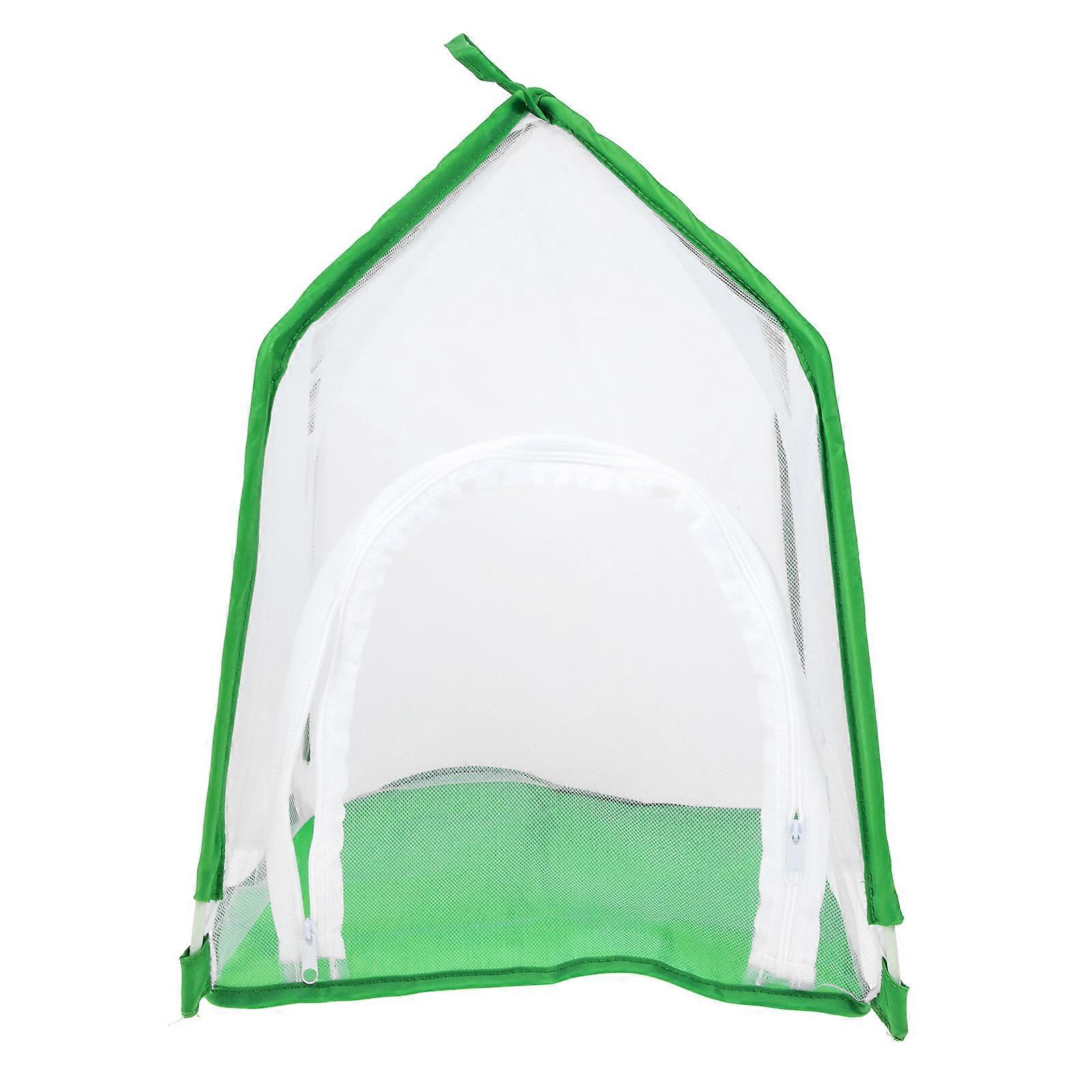 Visible Cage Insect Cage for Breeding Breathable Mesh Design