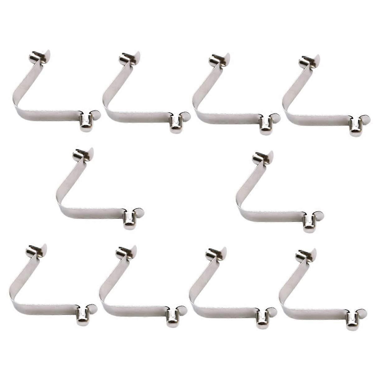 10pcs Stainless Steel Pool Spring Clips Corrosion Resistant Quick Release for Nets and Brushes