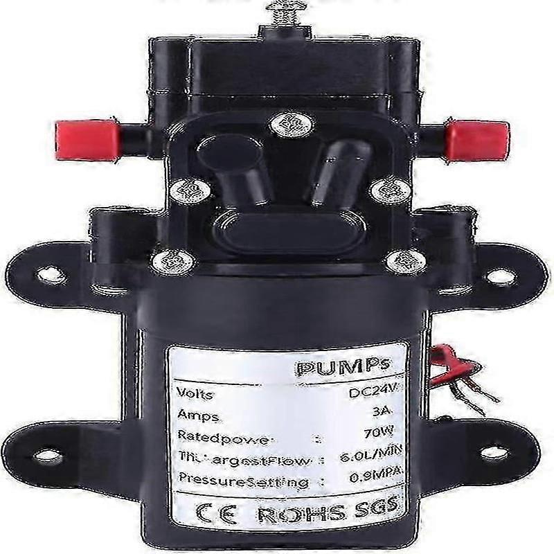 Dubbelsidig rakrörsvattenpump 24V 70W