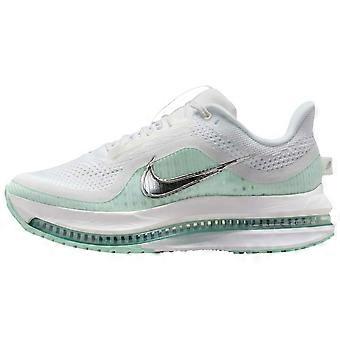 Nike Pegasus Premium Breathable Low top Long Distance Running Sprint Running Shoes Women's White Green HQ2593-103