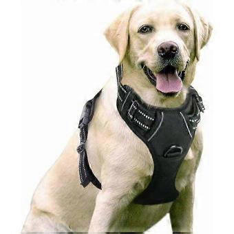 Durable Front-Clip Dog Walking Harness