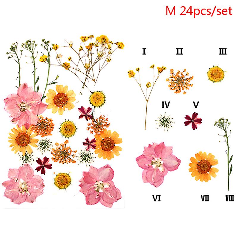 24 adet Preslenmiş Çiçek Karışık Kurutulmuş Çiçekler Diy Sanat Çiçek Dekorları Koleksiyon Hediye