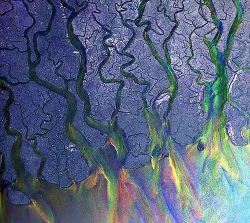 alt-J - An Awesome Wave [CD]
