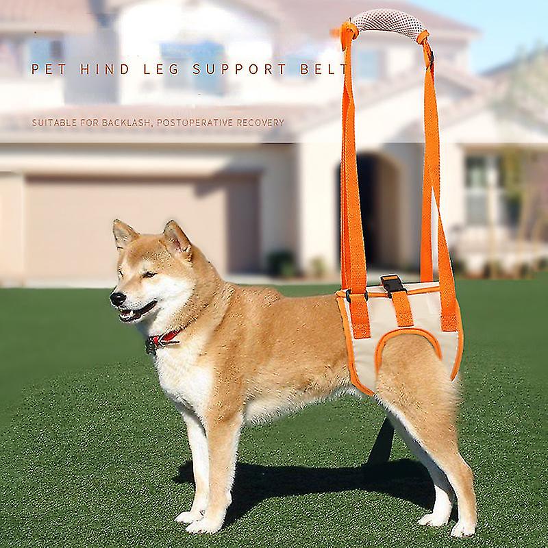 Köpek Kaldırma Koşumu, Zayıf Arka Bacaklar İçin Ayarlanabilir Köpek Kaldırma Destek Kayışı, Eski, Engelli, Eklem Yaralanmaları İçin Köpek Handikap Koşum Takımı