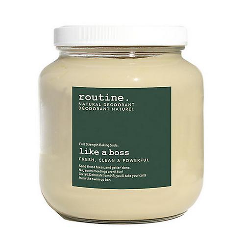 Routine Like A Boss Deo 补充装，2 公斤