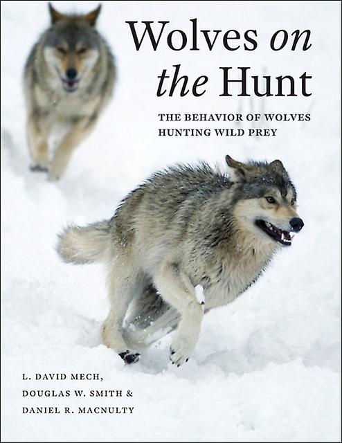 Wolves On The Hunt by Daniel R. MacNulty Hardback Book