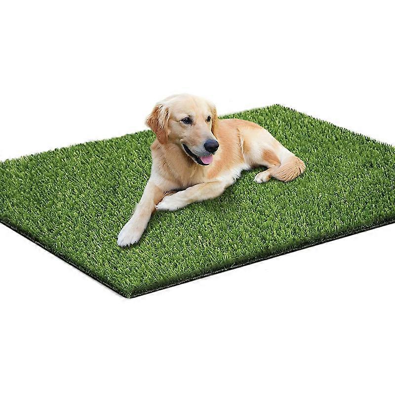 Fake Grass Pee for Dogs Artificial Grass Rug Turf for Puppy Potty Training Washable Grass Mat Pee Grass for Dog Potty Tray5070cm
