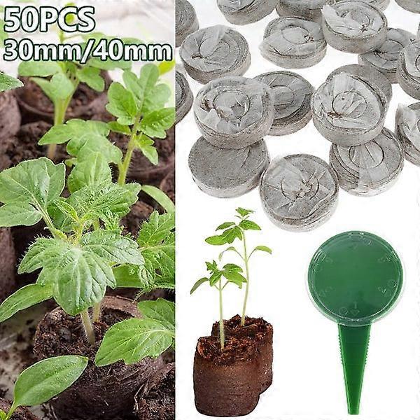 Large Peat Pellets: 30/40 MM - 50/100 Seed Starter Soil Plugs