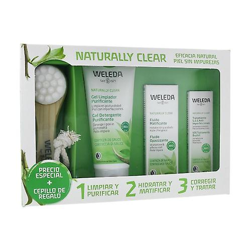 Purifying and mattifying facial routine combination skin 3 units