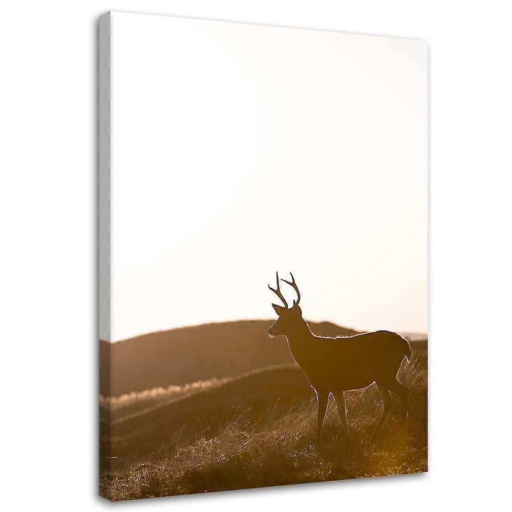 Impression sur toile, Jeune cerf - 70x100
