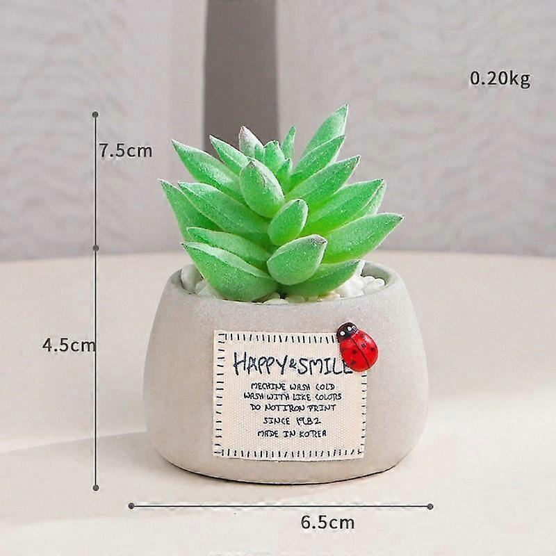 Mini Succulent Micro Landscape Simulation Potted Plant (Green Bergamot)