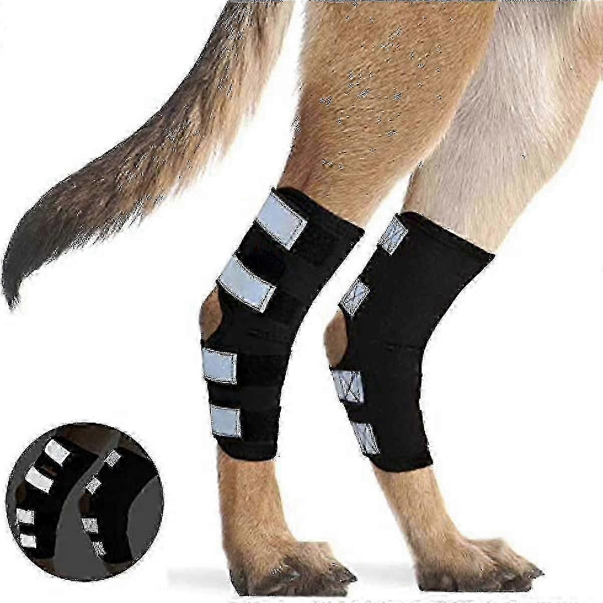 Hundebagben Hock Brace med reflekterende stropper