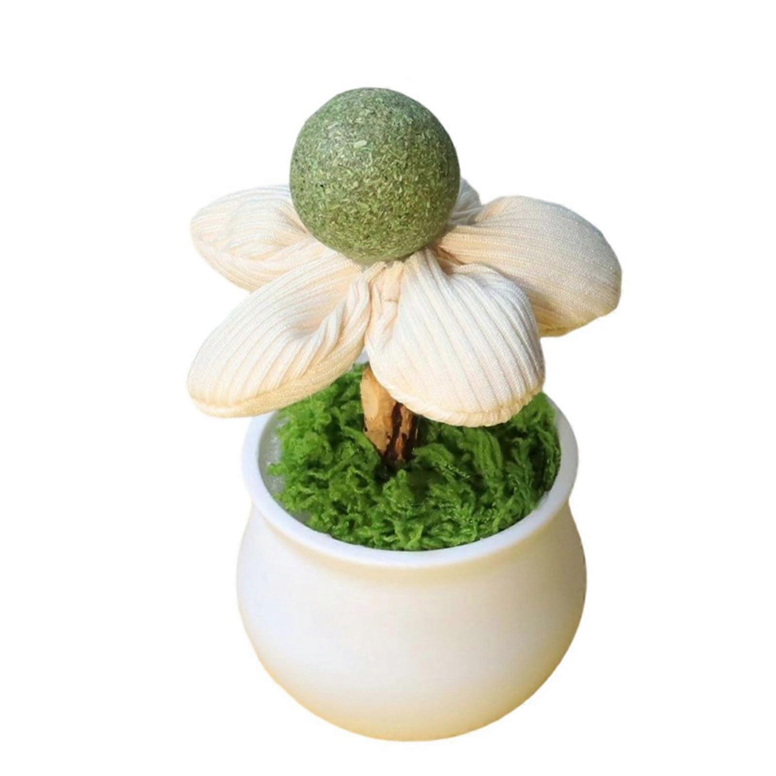 Creative Catnip Pot Toy Cats Play and Reduce Stress with Natural Catnip for Bored Cats Cat Behavior Improvement White