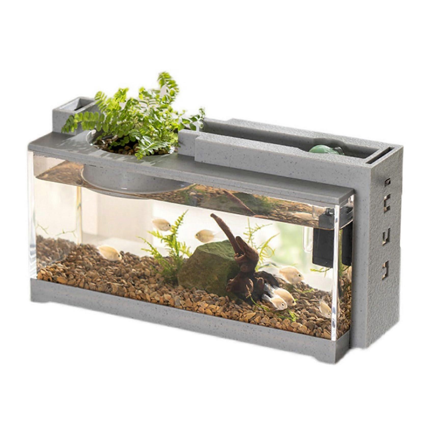 Small Fish Tank with USB Pump Light, 12x6.5x5 with Feeding Port