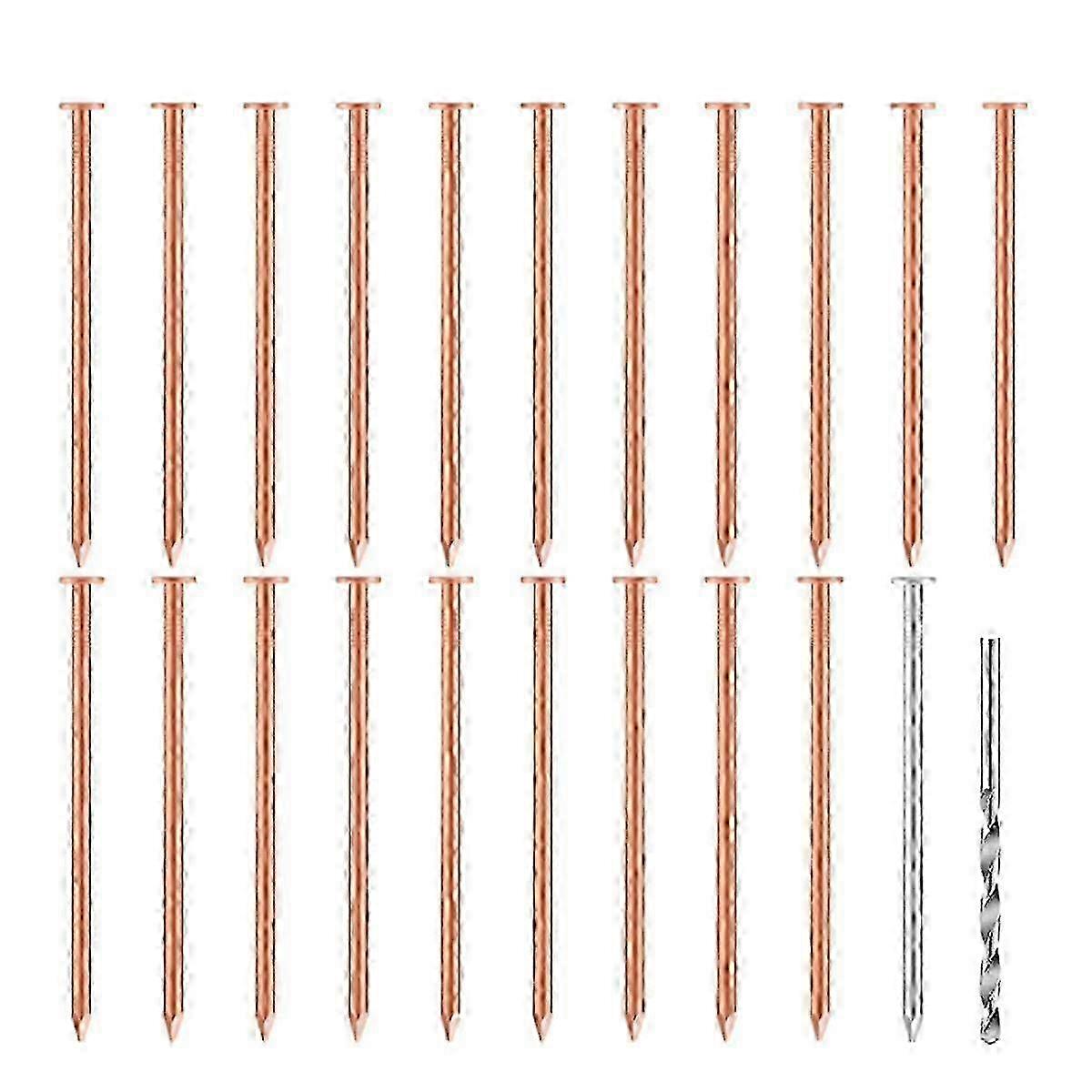 20 Pcs Pregos de Cobre para Matar Árvores & Tocos - 3.5 Polegadas com Prego de Aço & Broca Incluídos