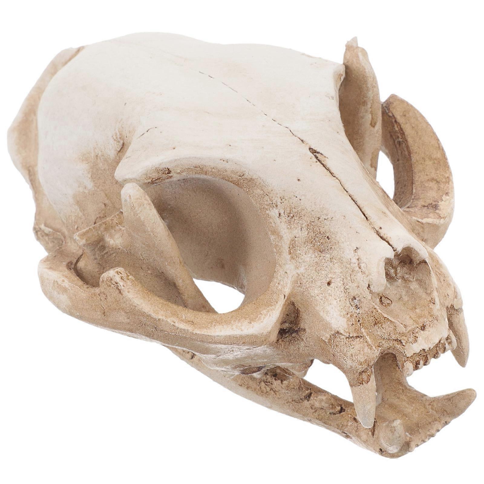 Cat Skull Figurine Aquarium Decor Resin Model 3Pcs Set Beige