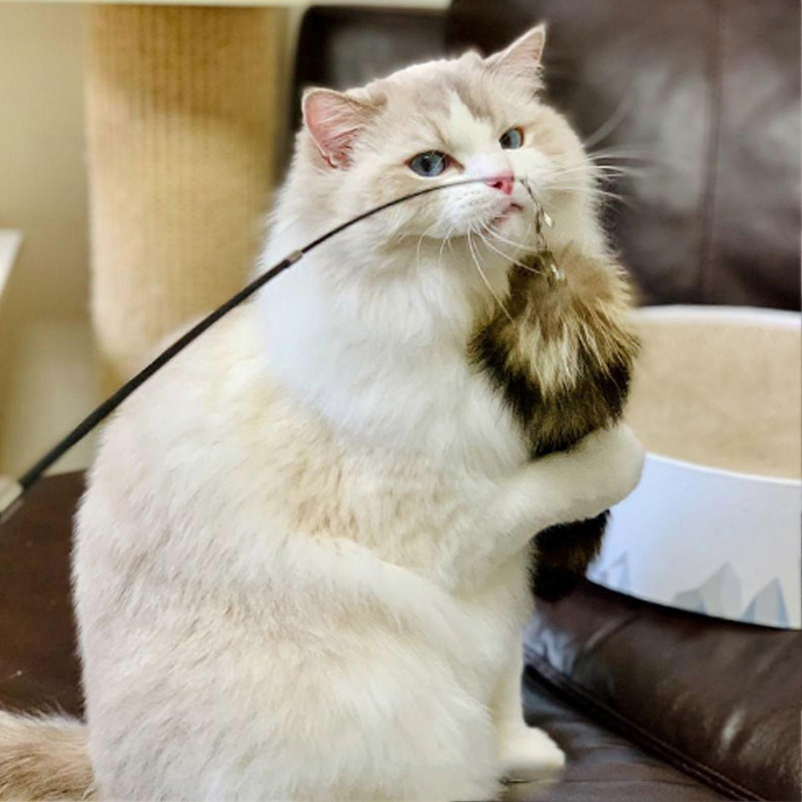 Plush Funny Cat Stick Retractable Teaser Wand with Replaceable Head