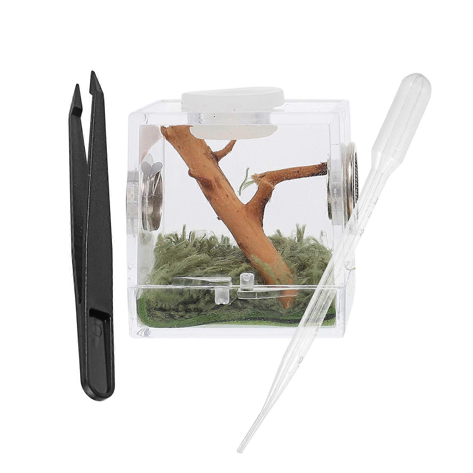 Reptile Acrylic Feeding Case for Spider Breeding 1Set Transparent