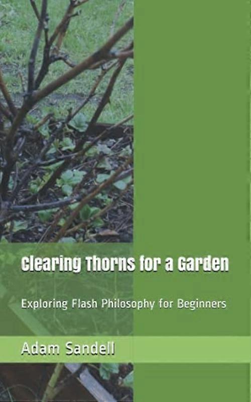 Clearing Thorns for a Garden: Exploring Flash Philosophy for Beginners
