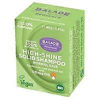 Solid Shine Shampoo for All Hair Types 40 g